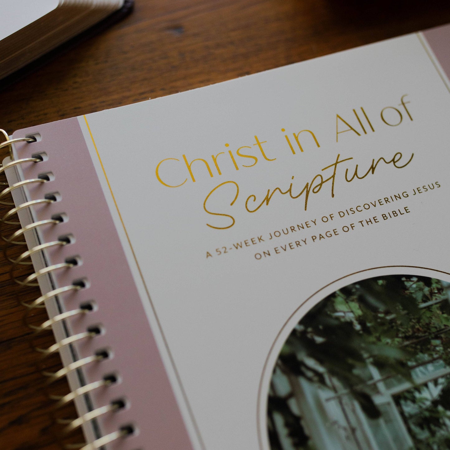 Christ in All of Scripture | Volume 2