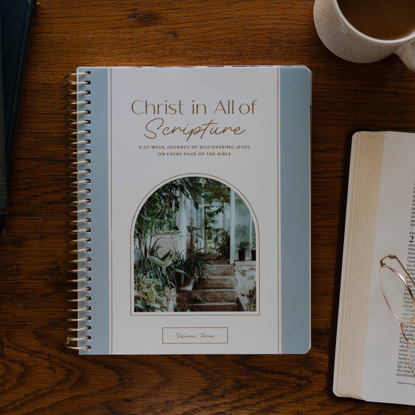 Christ in All of Scripture | Volume 3