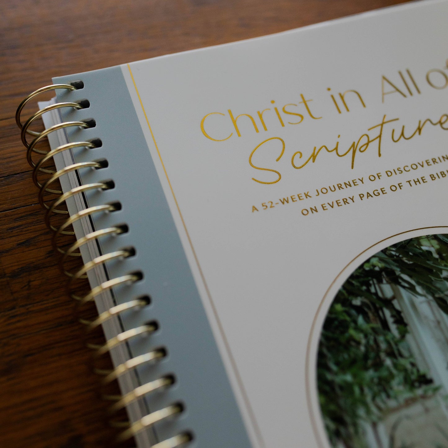 Christ in All of Scripture | Volume 3