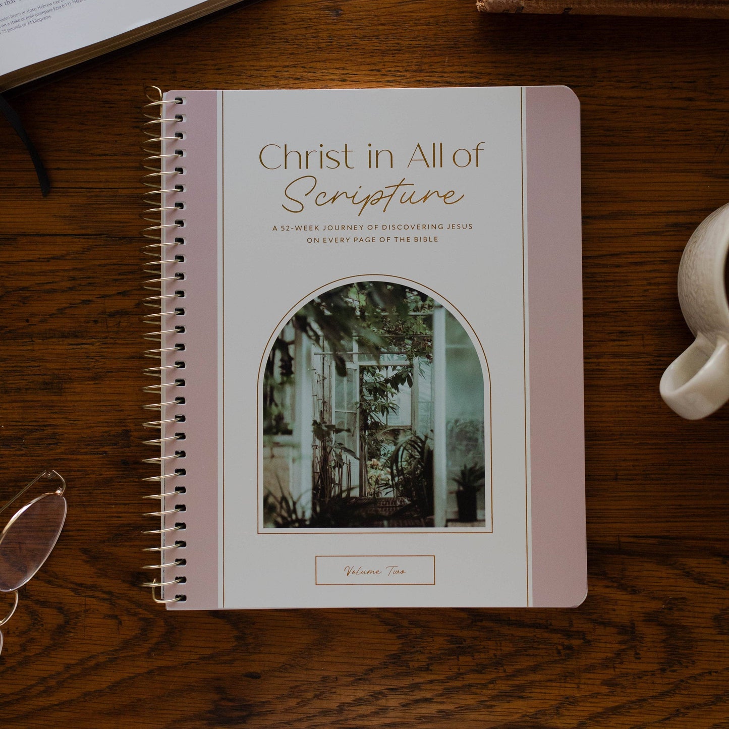 Christ in All of Scripture | Volume 2